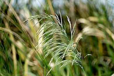 SE：《最终幻想7：重制版》PC版的反响很好