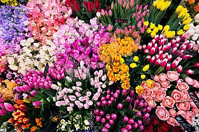 GungHo厂秋季促销开启 《格兰蒂亚高清复刻合集》半价